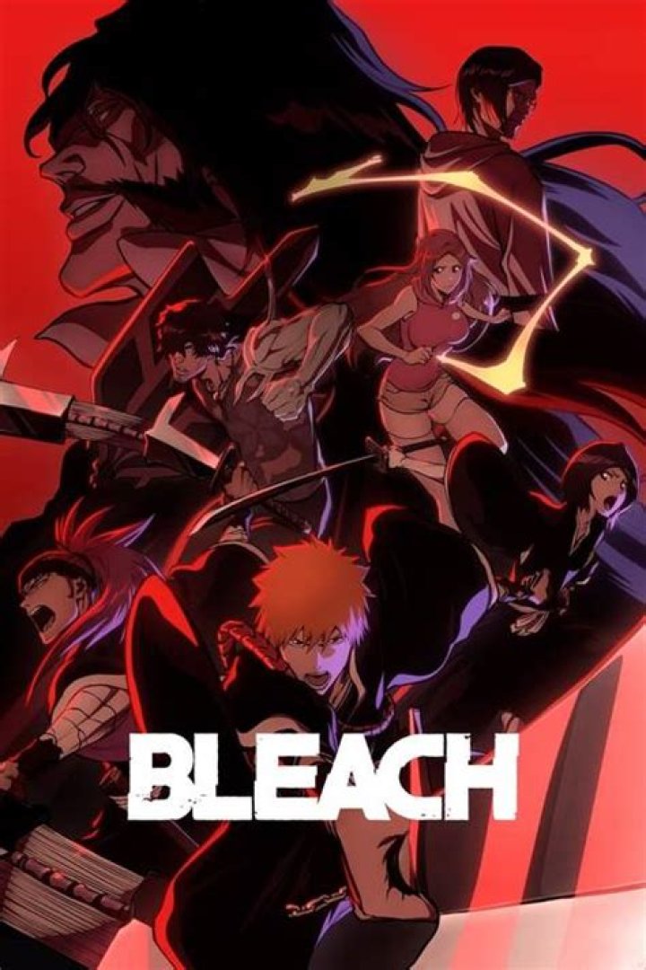 Bleach A Guide to Watching the Anime With No Filler