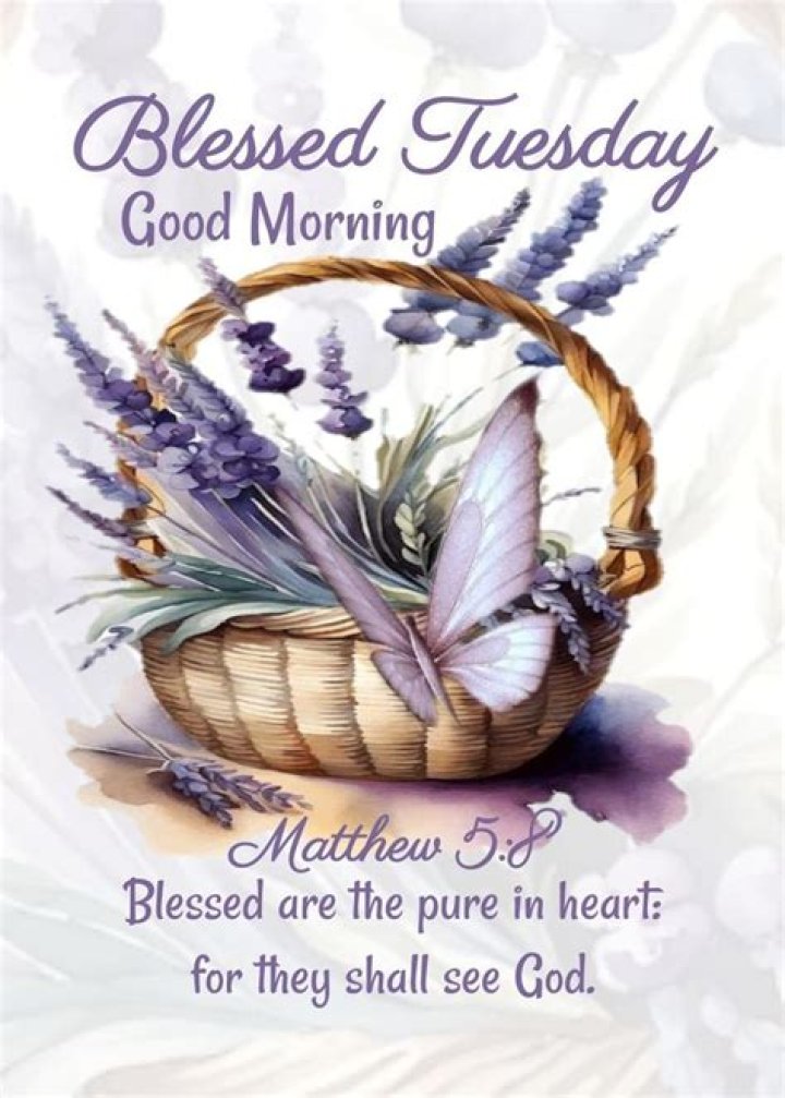 Blessed Tuesday Good Morning Pictures, Photos, and Images for Facebook, Tumblr, Pinterest, and
