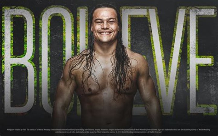 Bo Dallas BOlieve WWE Wallpaper (37202326) Fanpop