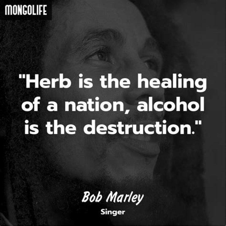 Bob Marley Quote “Love the life you live. Live the life you love.” (25 wallpapers) Quotefancy