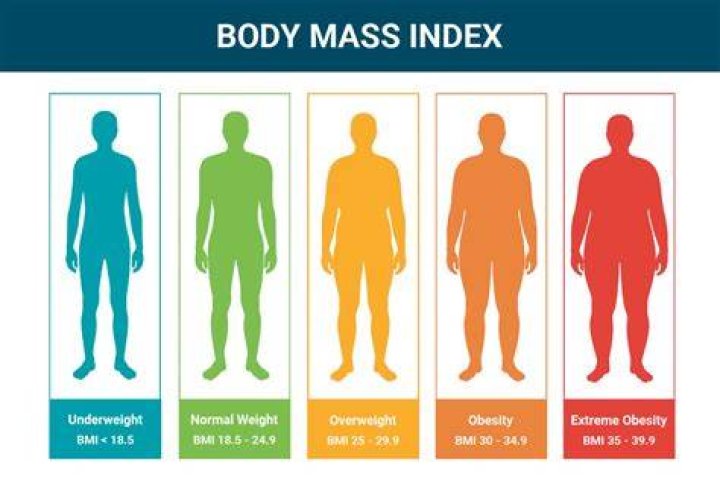 Body mass index calculator male turkapo