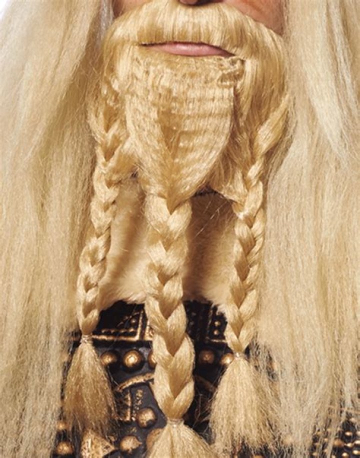 Braided Beard 22 Hottest Styles to Get in 2024