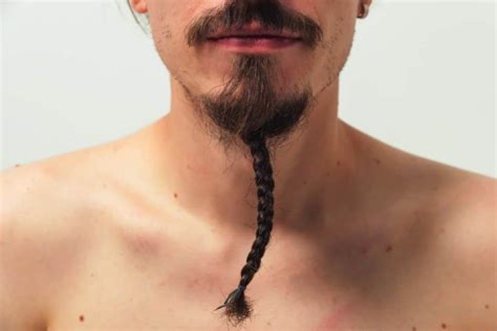 Braided Beard Extensions Fight for This