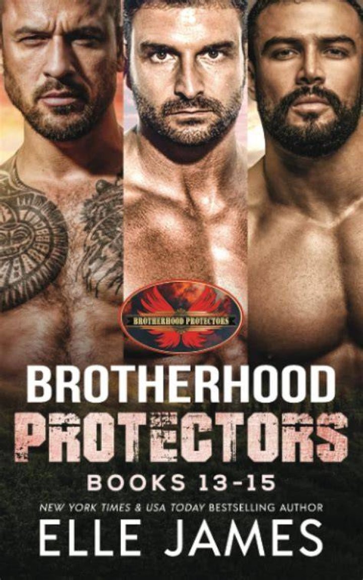 Brotherhood Protectors Vol 1 Books 13 by Elle James