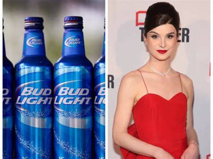 Bud Light sales reportedly dropped 17 following antitrans marketing