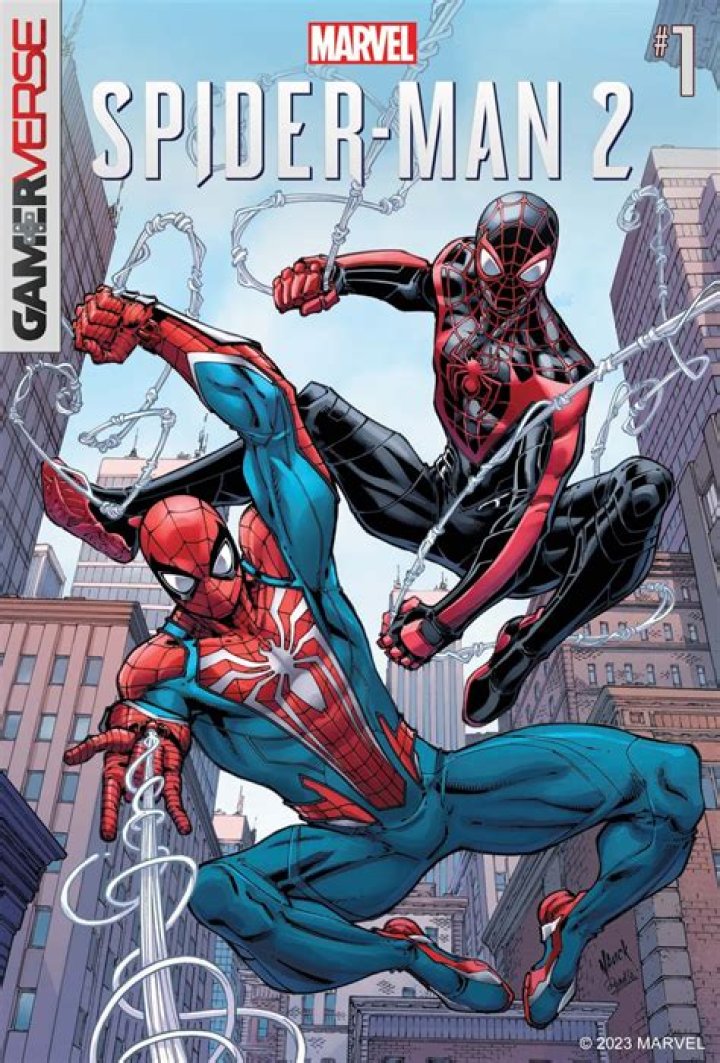 Buy AtaBoy Marvel Comics SpiderMan Reversible Lanyard with Breakaway