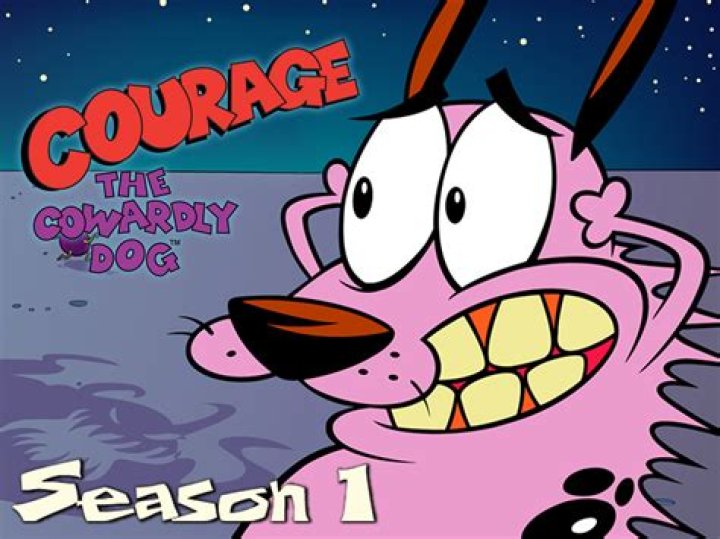 Cartoon Network Courage The Cowardly Dog Cartoon Network Grailed