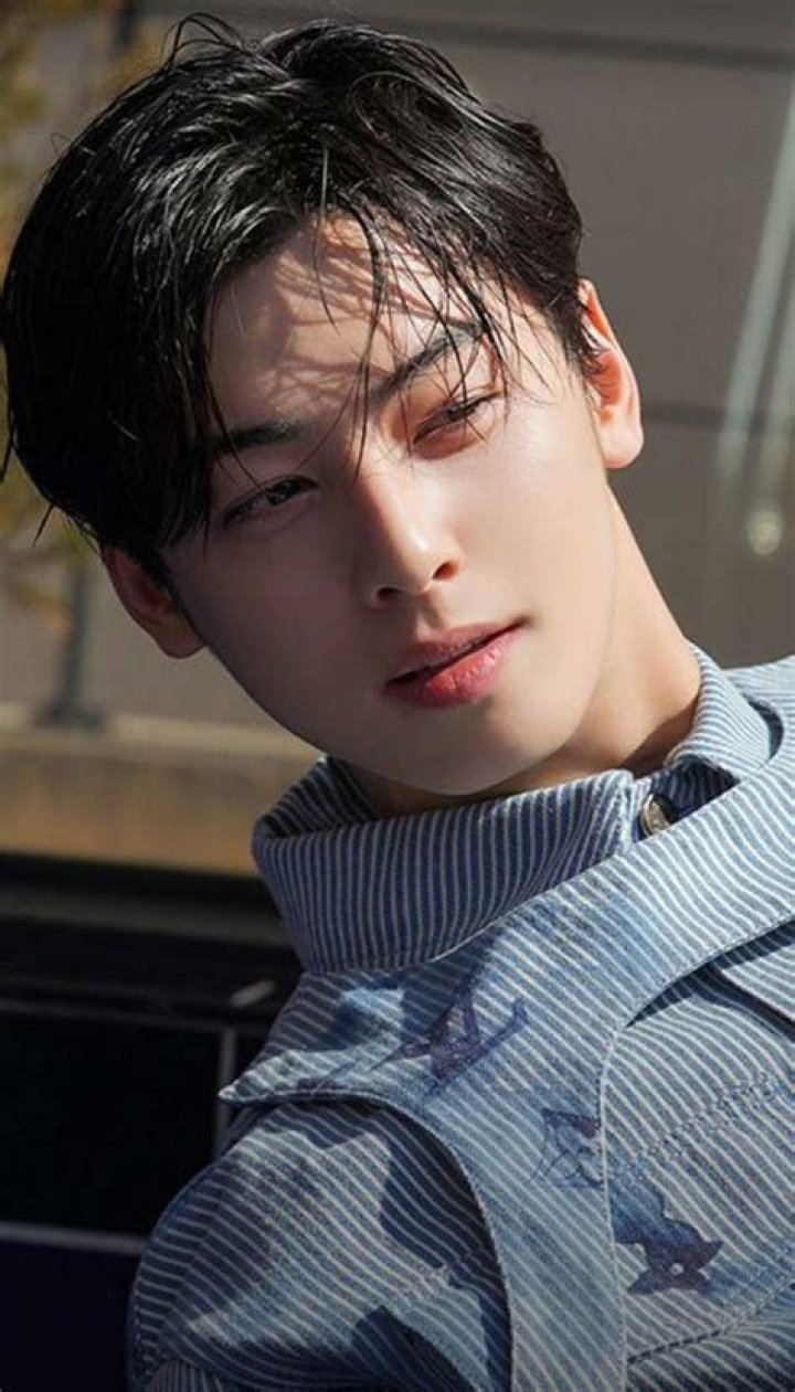 Cha Eunwoo Profile Images — The Movie Database (TMDB)