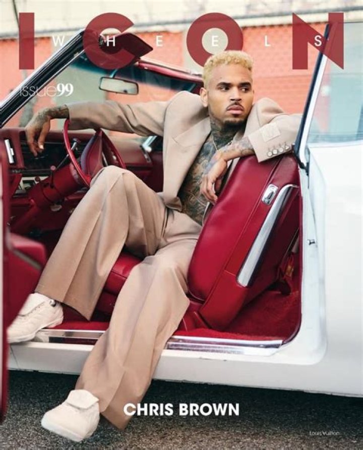 Chris Brown New Year By Putting On a PDA With Karrueche Tran