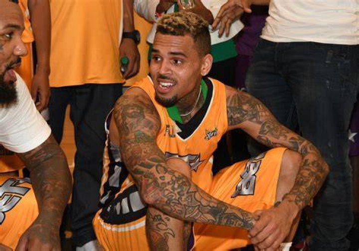 Chris Brown&rsquo;s pet monkey could land him in trouble Press Enterprise