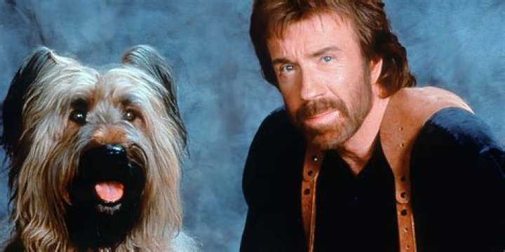 Chuck Norris Turns 80 — Glimpse at Action Movie Star's Five Decades in
