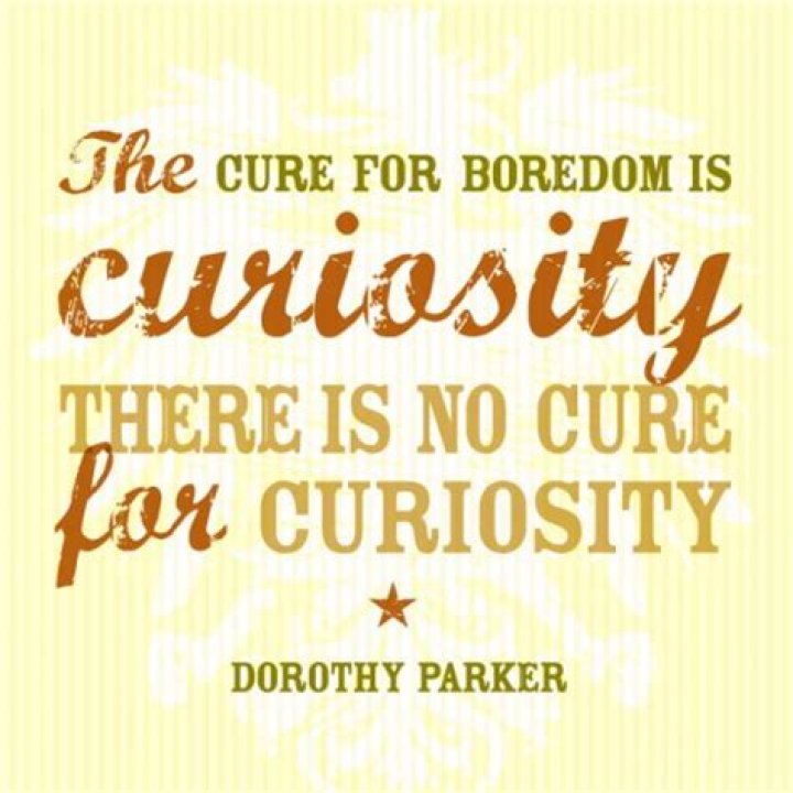 Curiosity Quotes Funny. QuotesGram