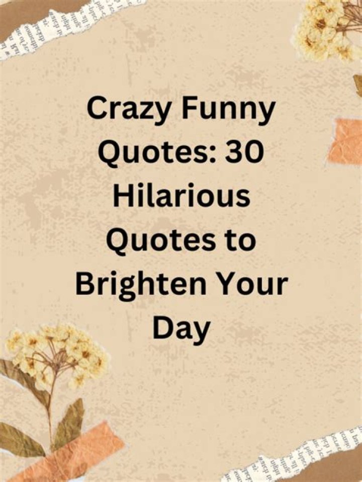 Curious Funny Quotes. QuotesGram