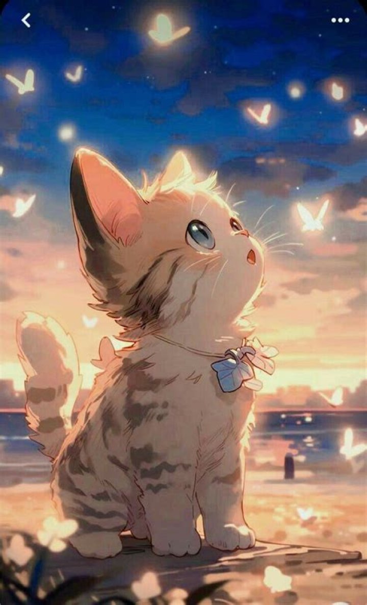 Cute Anime Cat Wallpaper WallpaperSafari