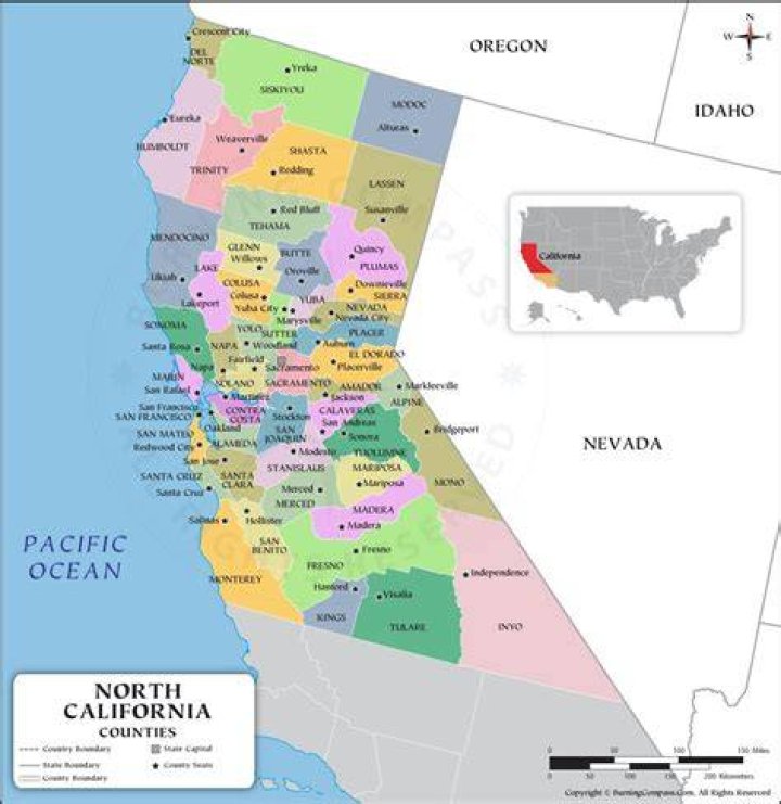 David Marks Selma, California, United States Professional Profile