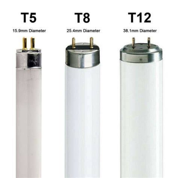 Deciphering Fluorescent Jargon T5 vs. T8 vs. T12 Tubes Demystified