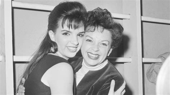Did Liza Minnelli Have Children?