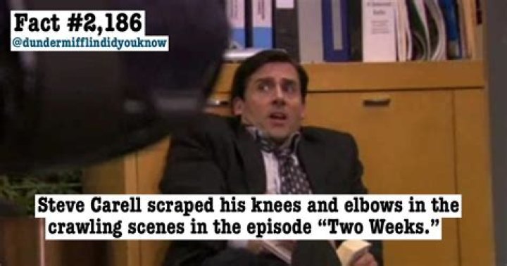Did You Know Steve Carell's Wife Nancy Was in 'The Office'? 3tdesign