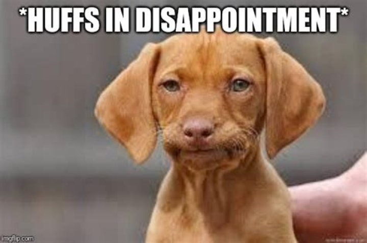 disappointed Memes Imgflip