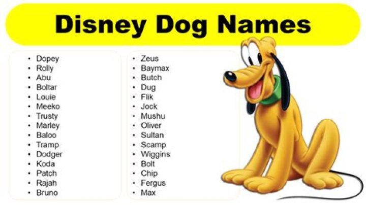 Disney Dog Names Male, Female And Names GrammarVocab