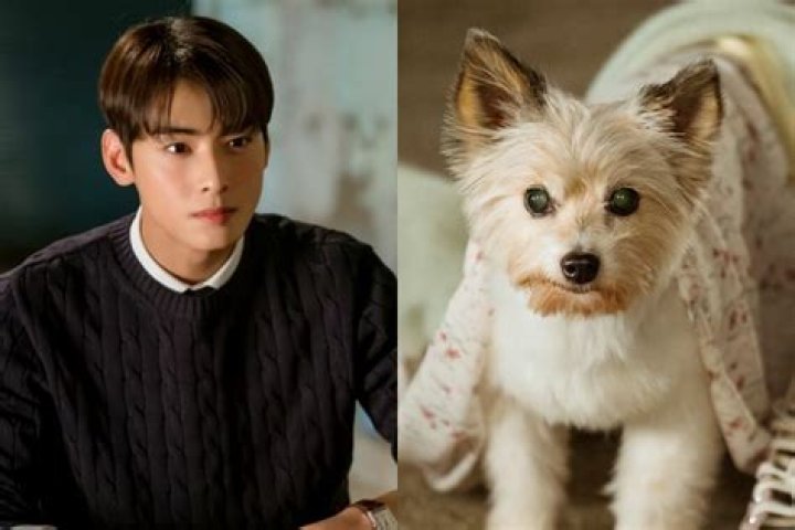Does Cha EunWoo Have a Girlfriend? The Singer Would like to Get Married