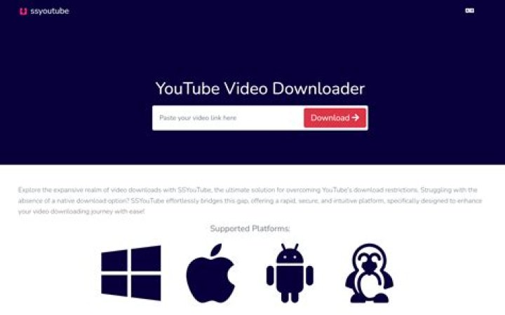 Download SS YouTube Downloader Baixar no ClickGr&aacute;tis