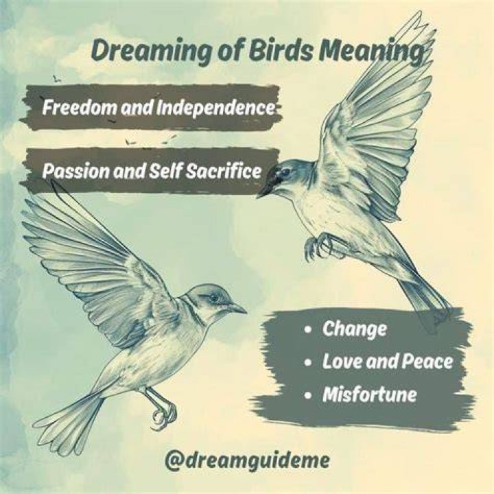 Dreaming of Birds the meaning and symbolism of birds dreams