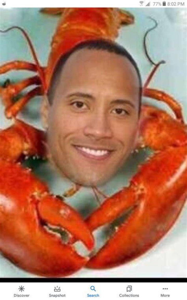 Dwayne the rock lobster. r/funny