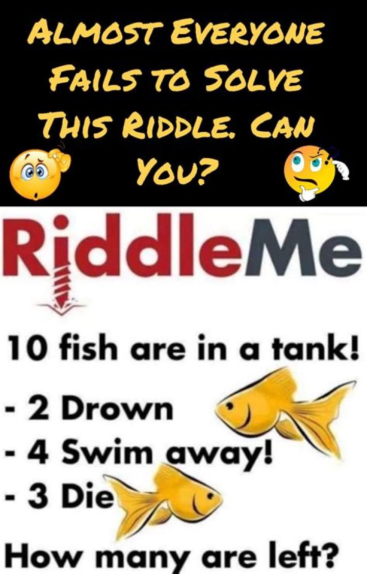 Easy Funny Riddles For Adults