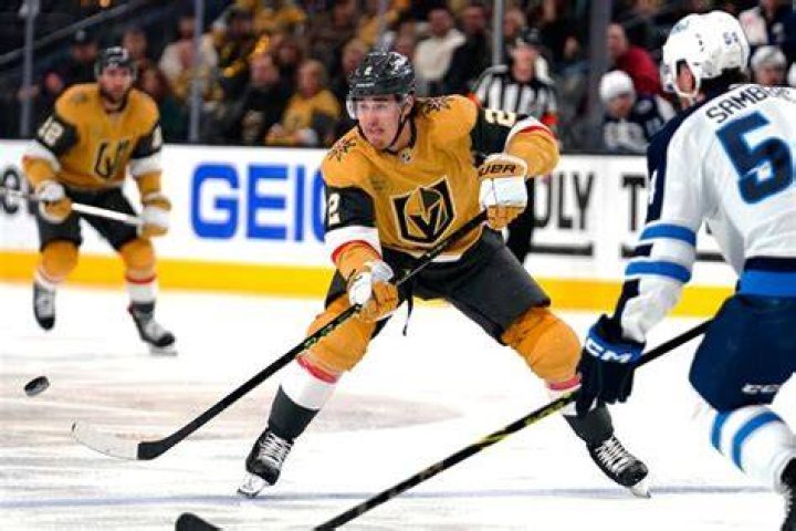 ESPN Anchor Apologizes for Mocking Native NHL Player's Name
