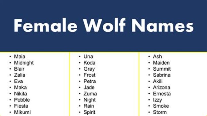 Female Wolf Names The Ultimate List for a Strong and Beautiful Canine