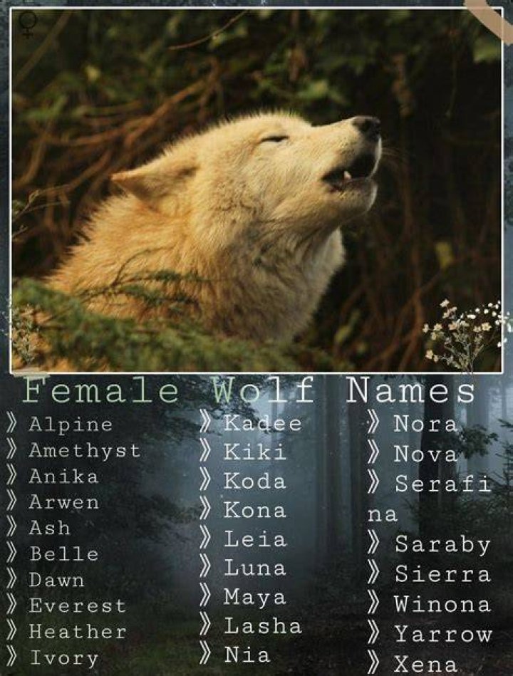 Female Wolf Names
