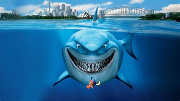 FindingNemo WaltDisneyPixar Bruce