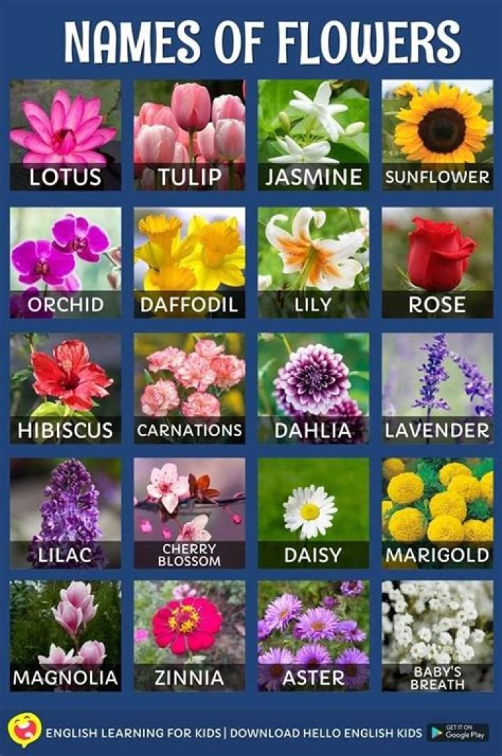 Flowers Images With Names Best Flower Site