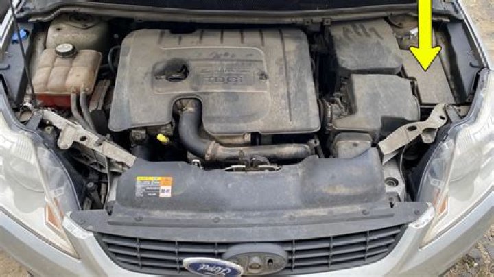 Ford Focus (20052007) Where is VIN Number Find Chassis Number