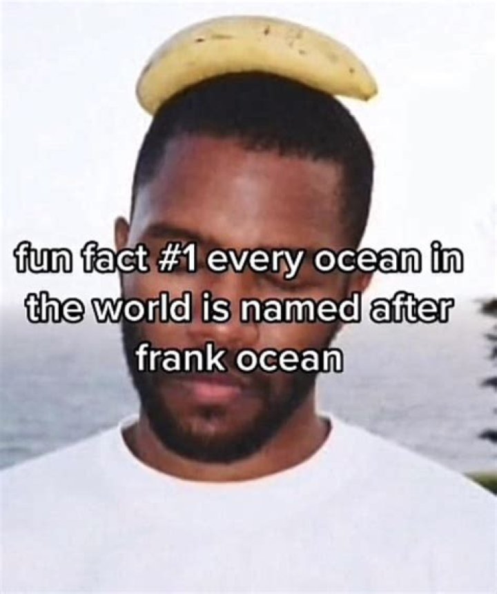 Frank Ocean Fun Facts Frank Ocean 10 Fascinating Facts Every Fan