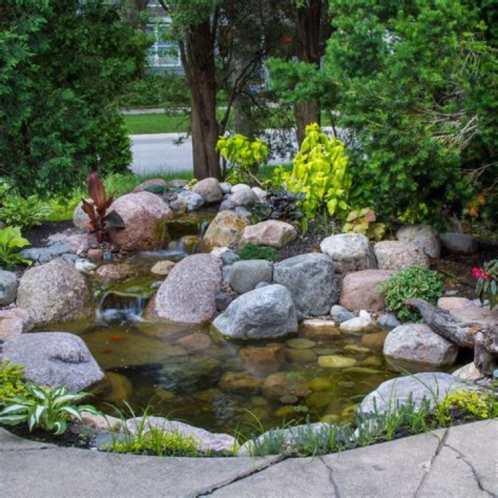 From the pond, the Rock Ledge rises up like a tapesty of pinks and