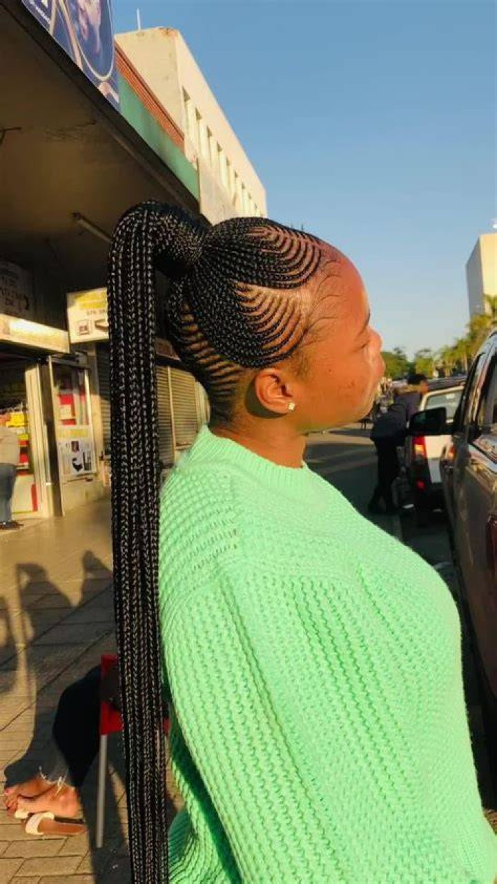 Fulani Braids South African Straight Up Hairstyles Straight Up And Straight Back Hairstyles
