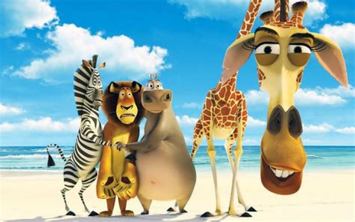 Funny Cartoon Wallpapers Top Free Funny Cartoon Backgrounds