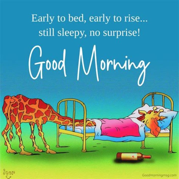 Funny Good Morning Messages, Wishes & Quotes WishesMsg