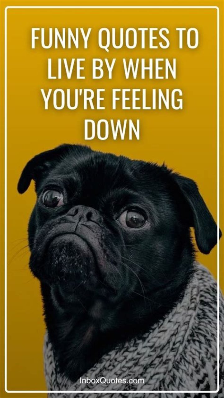 Funny Quotes To Live By Inspirational showerthought hitsblunt