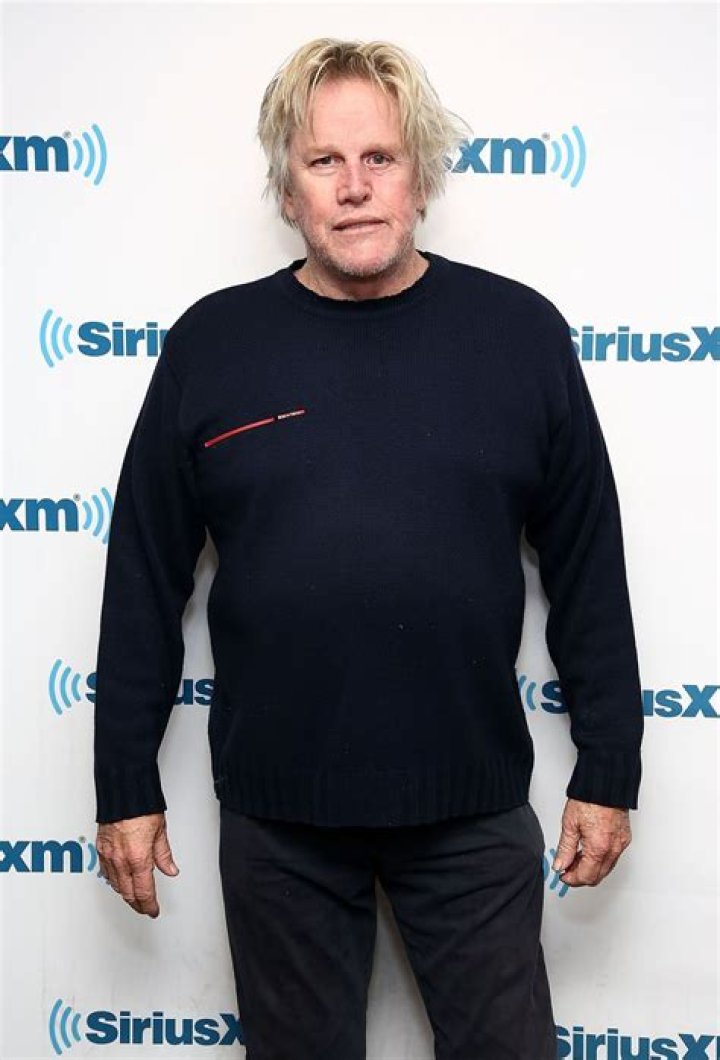 Gary Busey on His 'Buseyisms' Book, Bankruptcy and 'Point Break