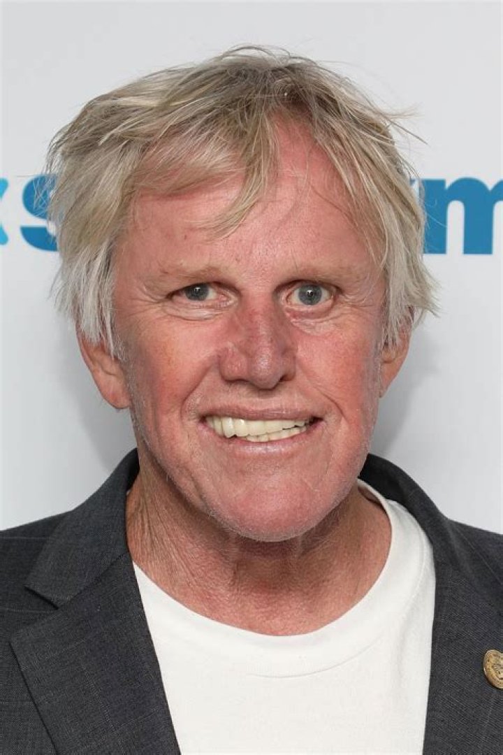 Gary Busey's Tragic Motorcycle Accident That Almost Took His Life
