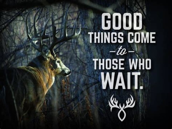 Good Luck Deer Hunting Quotes. QuotesGram