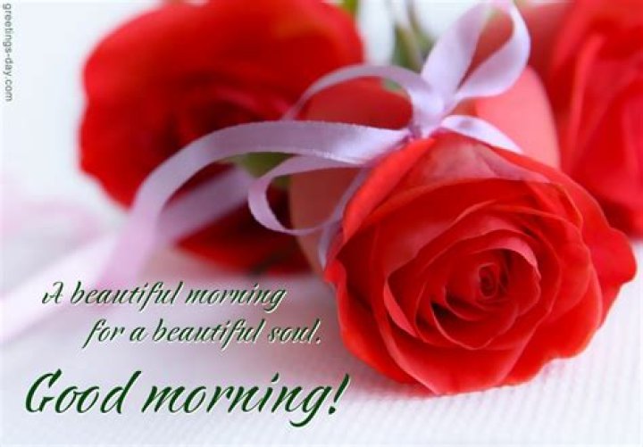 Good Morning Beautiful Daily Ecards & Pictures.