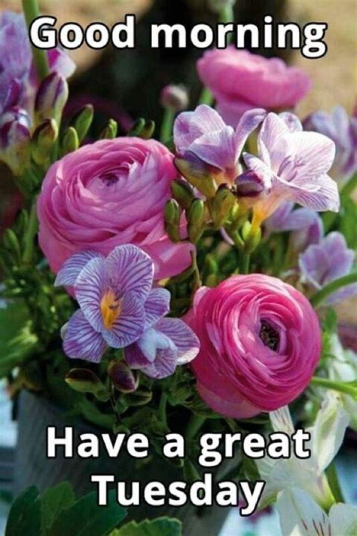 Good Morning Happy Tuesday Have A Blessed Day Pictures, Photos, and Images for Facebook, Tumblr