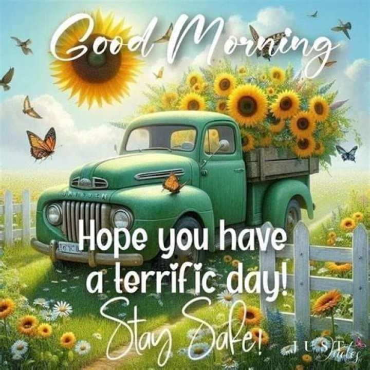 Good Morning, Have A Terrific Tuesday Tuesday quotes good morning, Happy tuesday quotes, Funny