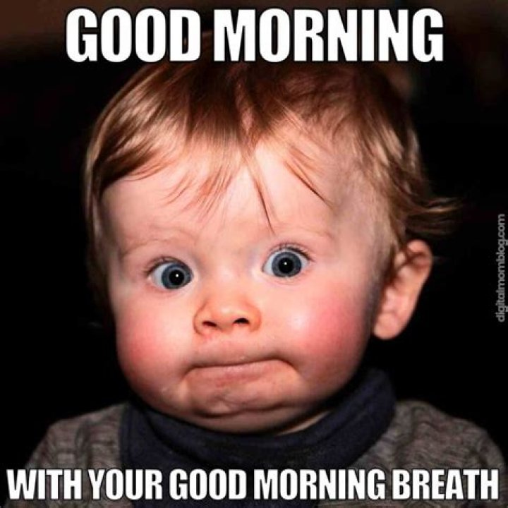 Good Morning Meme Cute , Good Morning Meme Funny good morning memes, Flirty memes, Good