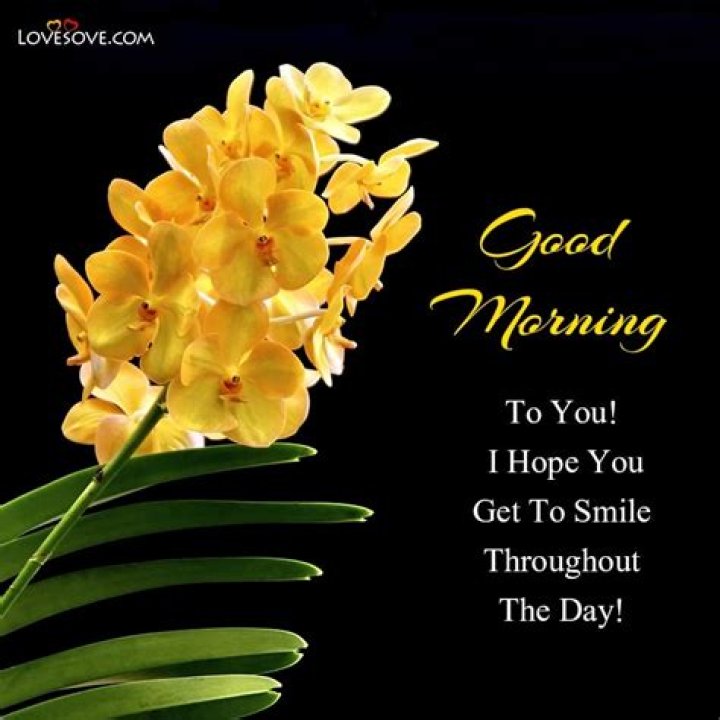 Good Morning Messages, SMS and Good Morning Quotes Making Different