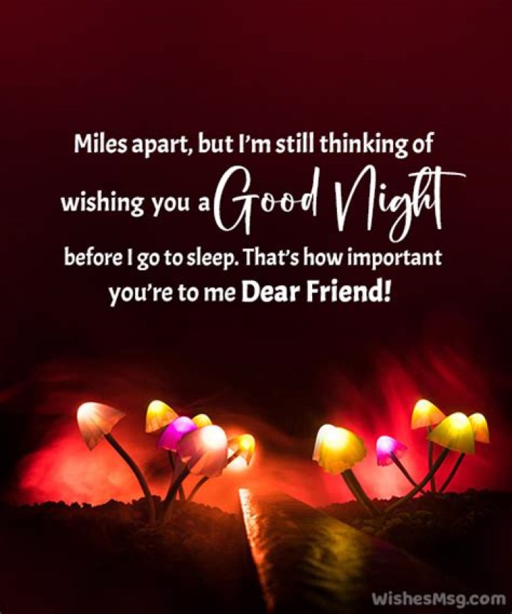 Good Night Messages for Friends Never Stop Dreaming